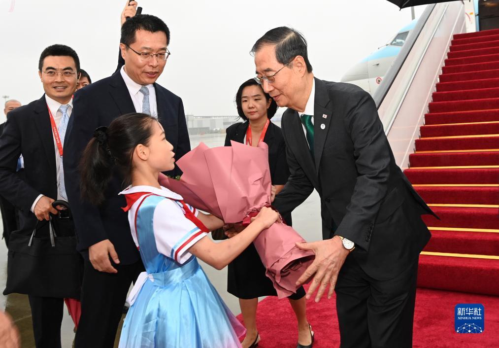 五龙争霸下载